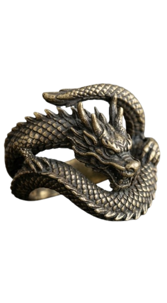 Dragon Egg themed ring THE RING by ShNixus Softech from Spichy Deals crafted with fantasy jewelry collectible design